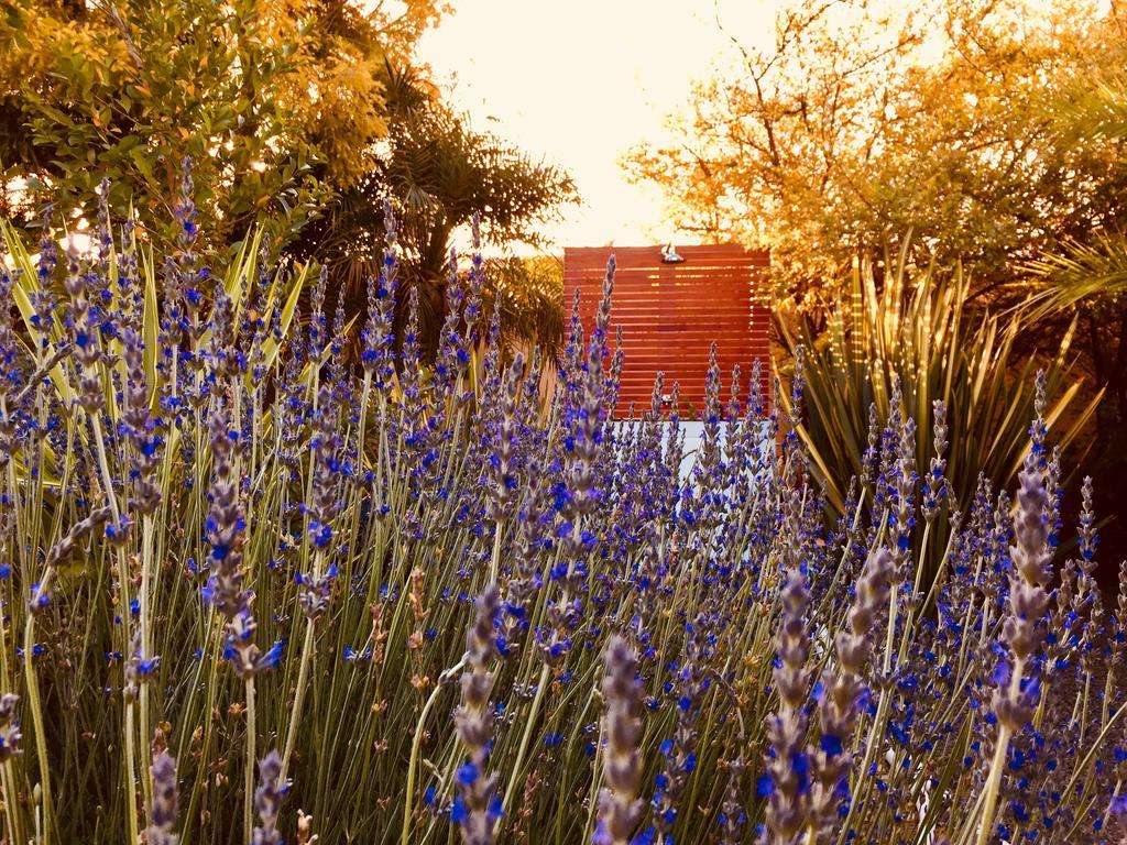 Pictures Guest House Boutique Hotel Oudtshoorn Exteriér fotografie